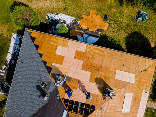 Best Shingle Roofing Installation  in Cerro Gordo, IL