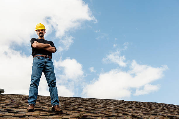 Best Roof Gutter Cleaning  in Cerro Gordo, IL