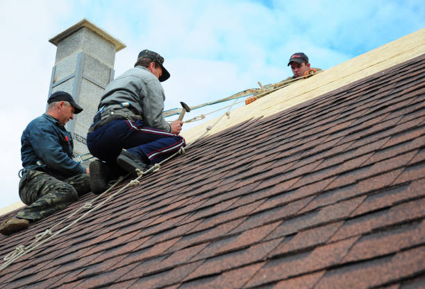Best Roof Maintenance Services  in Cerro Gordo, IL